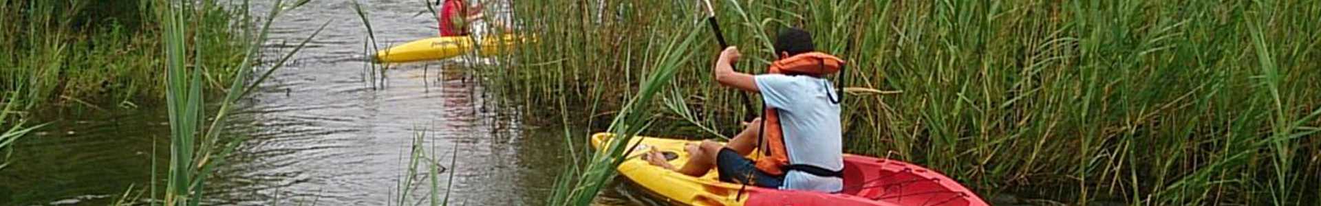header-activities.jpg